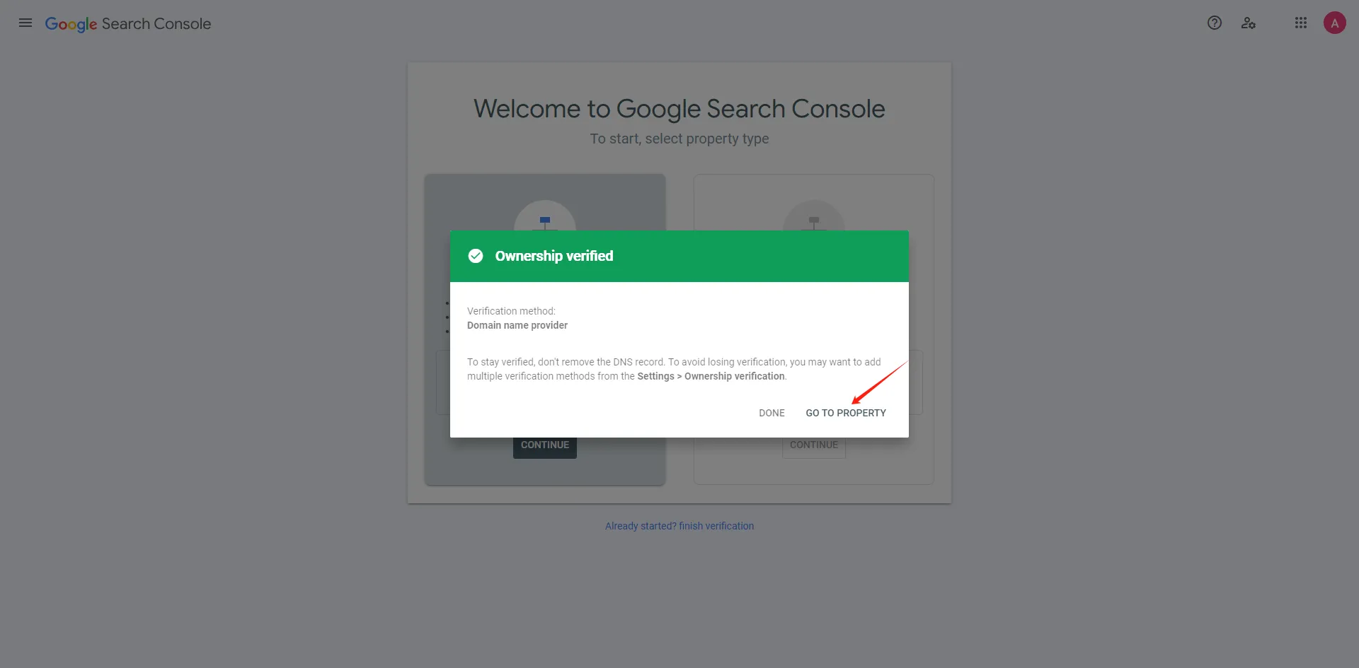 Search Console 域名验证成功提示