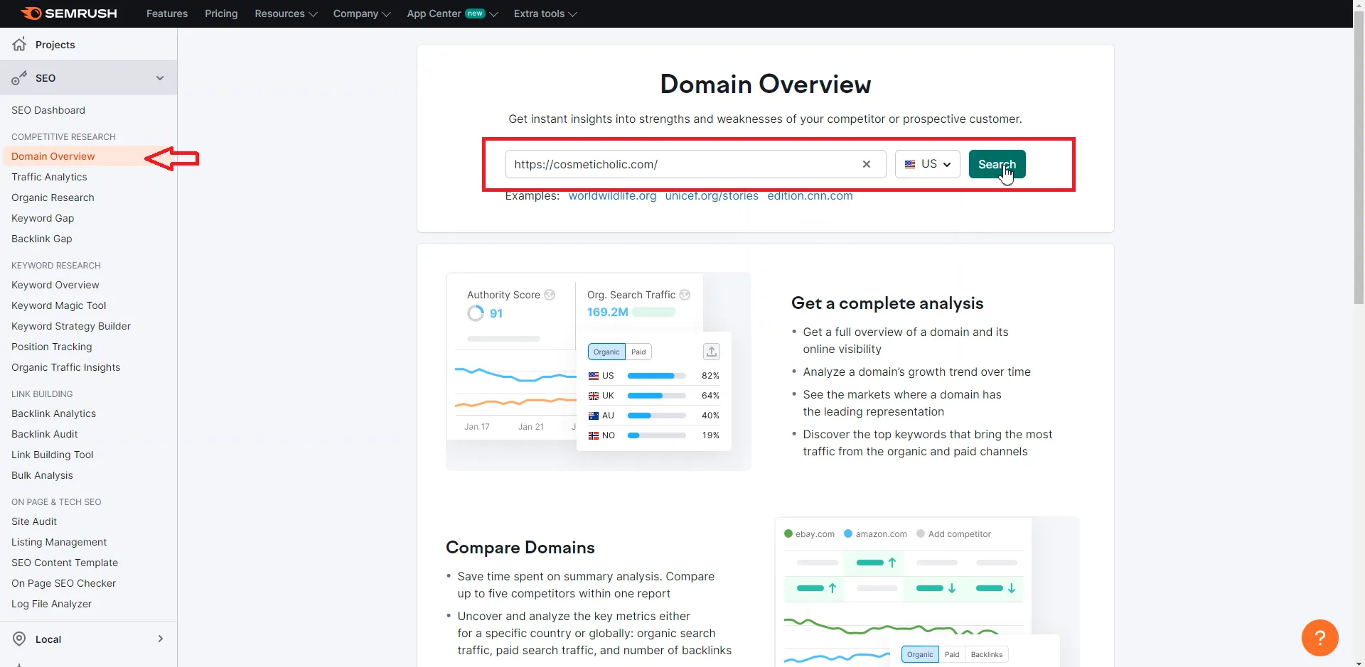 SEMrush Domain Overview 输入域名查询