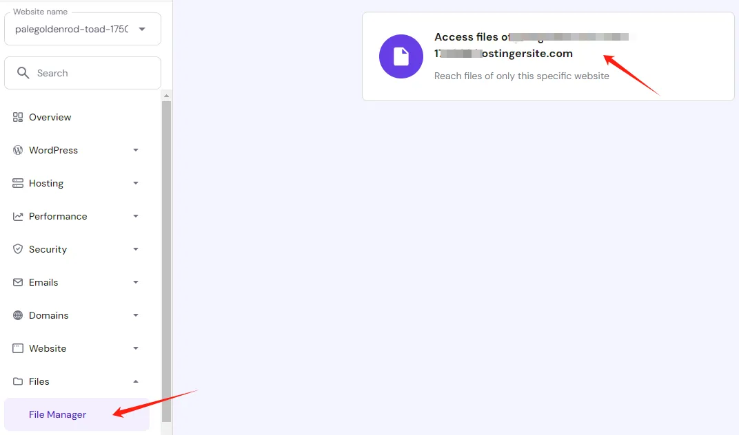 Hostinger File Manager Access files 入口